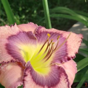 Meet your Posher, Kathleen