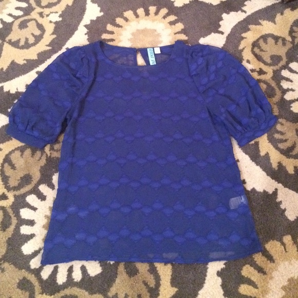 Blue Sheer Blouse