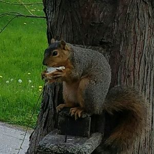 Meet your Posher, Mary sue