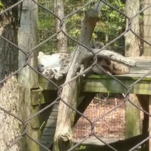 Meet your Posher, Caleb