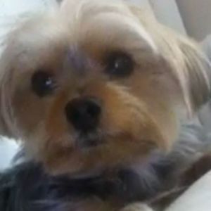 Meet your Posher, Aida