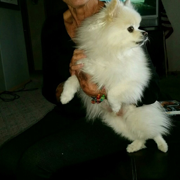 Meet your Posher, Judith - Picture 1 of 1