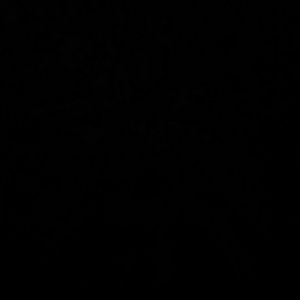 Meet your Posher, Mekayla