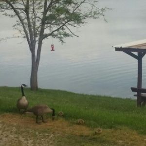 Meet your Posher, Bev