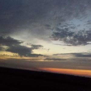 Meet your Posher, Joni