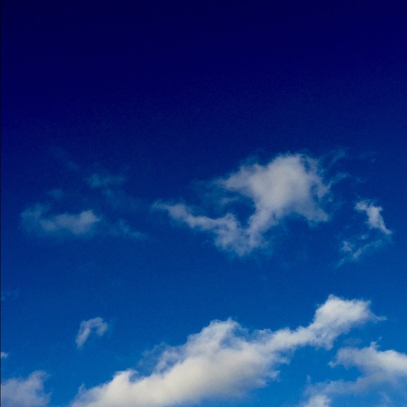 Meet your Posher, Elena