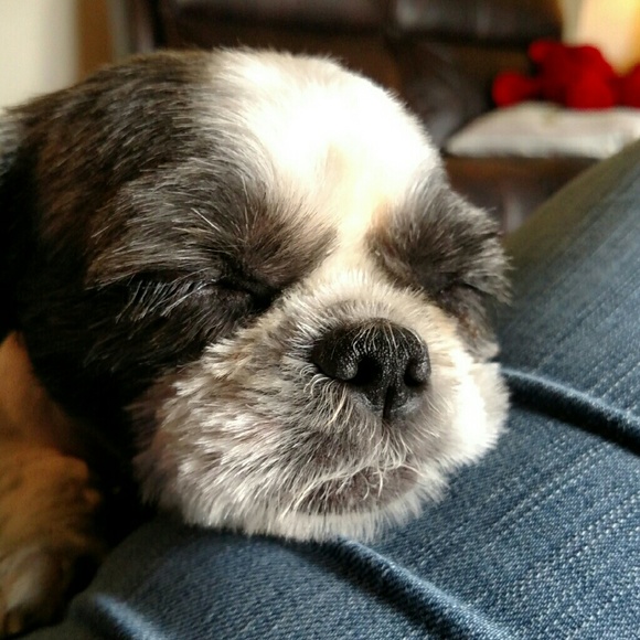 Meet your Posher, Emily - Picture 2 of 2