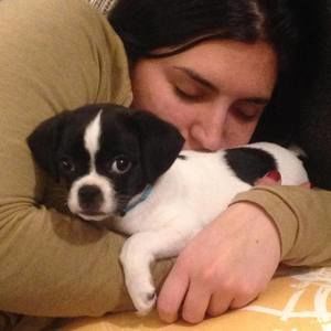 Meet your Posher, Alex