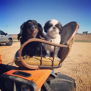 Meet your Posher, Sue