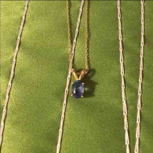 Genuine Blue Topaz Set in 18k on a 18in 10k Chain!