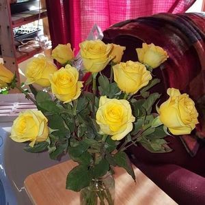 Meet your Posher, Bonnie