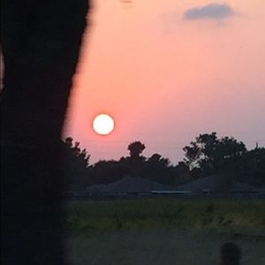 Meet your Posher, Nella