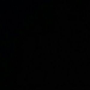 Meet your Posher, Whitney