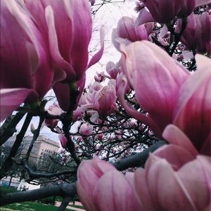 Meet your Posher, Catherine