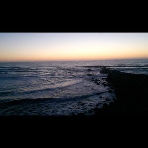 Meet your Posher, Daisy