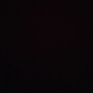 Meet your Posher, Bradley