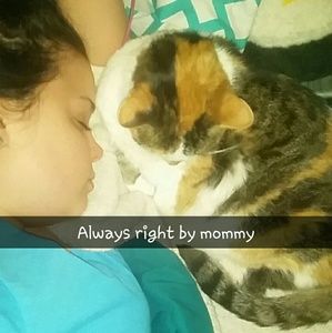 Meet your Posher, Krystin