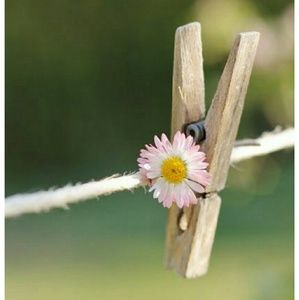 Meet your Posher, Ivonne