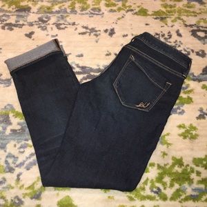 Express Stella Skinny Crop Jeans