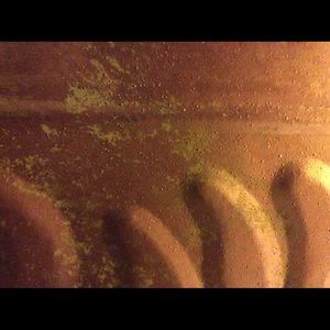 Meet your Posher, Elyzabeth