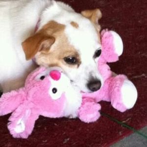 Meet your Posher, Lori