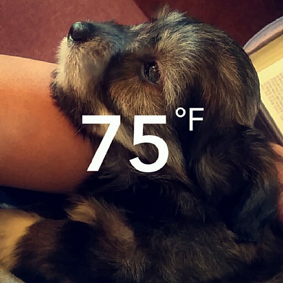 Iso formal/homecoming dress