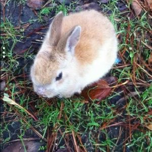 Meet your Posher, Clarissa