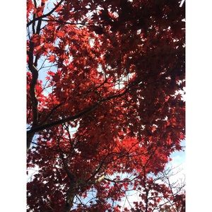 Meet your Posher, Kay