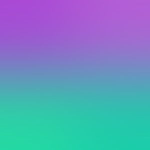 Meet your Posher, Tayler