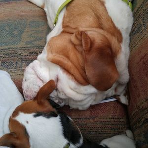 Meet your Posher, Shawna