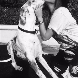 Mid rise FRAME "le color ripped" in film noir.