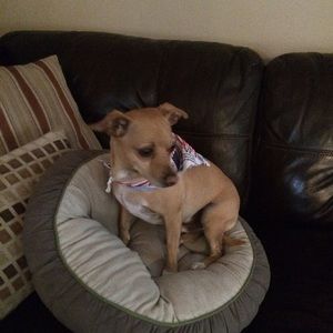 Meet your Posher, Martha