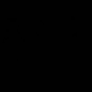 Meet your Posher, Duane