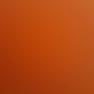 Meet your Posher, Oswaldo