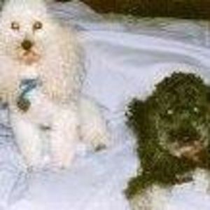 Meet your Posher, Sharon