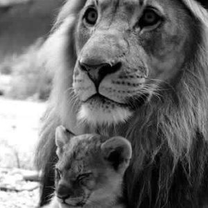 Meet your Posher, Jodie