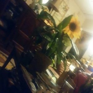 Meet your Posher, Bettye