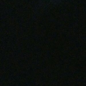 Meet your Posher, Bernice