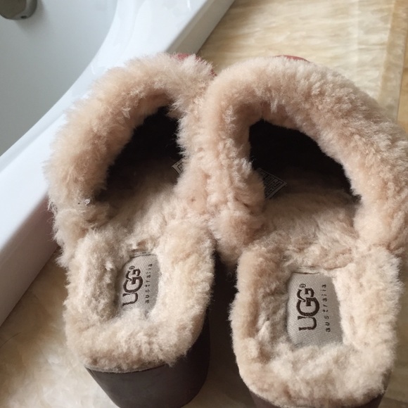 Ugg Clogs - image 4
