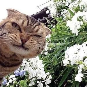 Meet your Posher, Lora