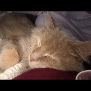 Meet your Posher, Sandra