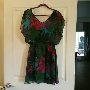 Gorgeous Express dress