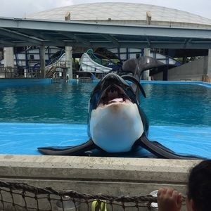 Meet your Posher, Mandy