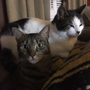 Meet your Posher, Robin