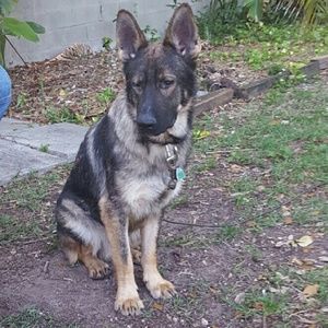 Meet your Posher, Yamisleidy