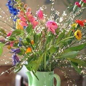 Meet your Posher, Patricia