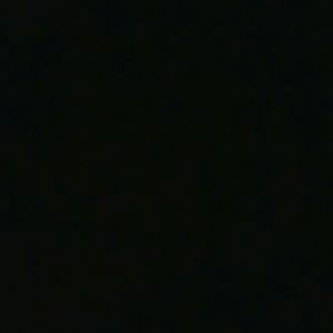 Meet your Posher, Daniela