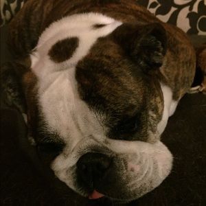 Meet your Posher, Kristen