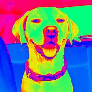 Meet your Posher, Lyn