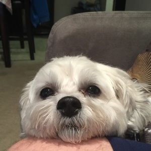 Meet your Posher, Christine